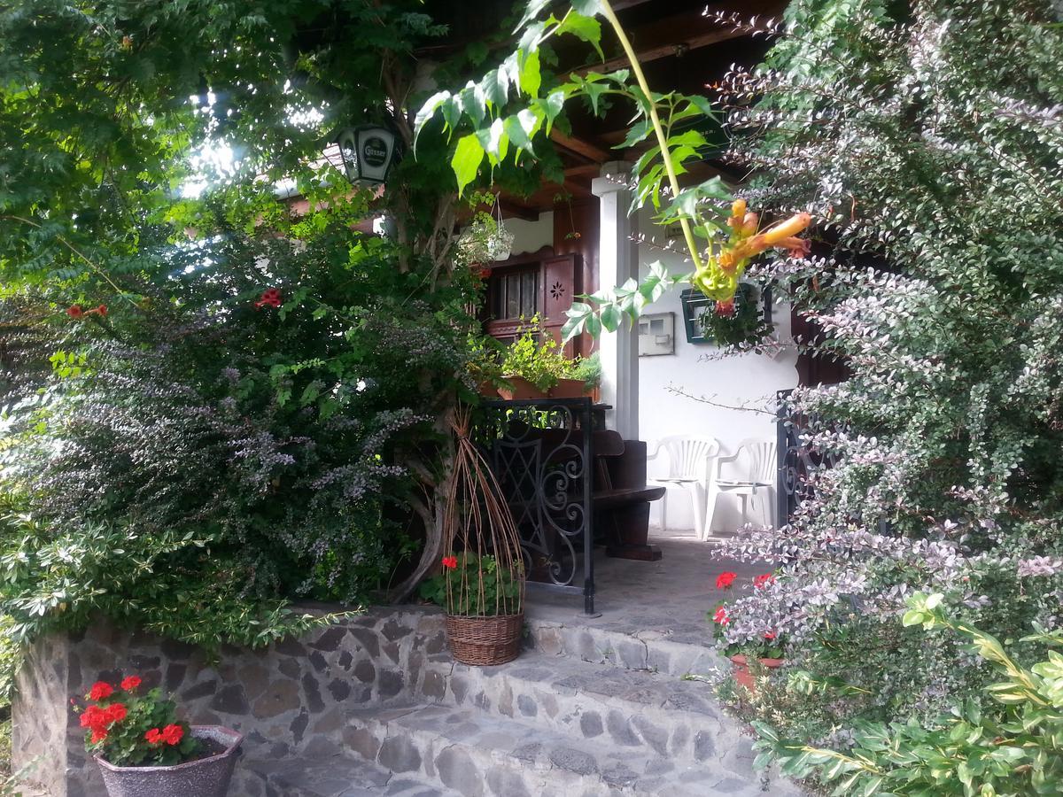 Bed and Breakfast Felso Fogado Felsőtold Exteriér fotografie
